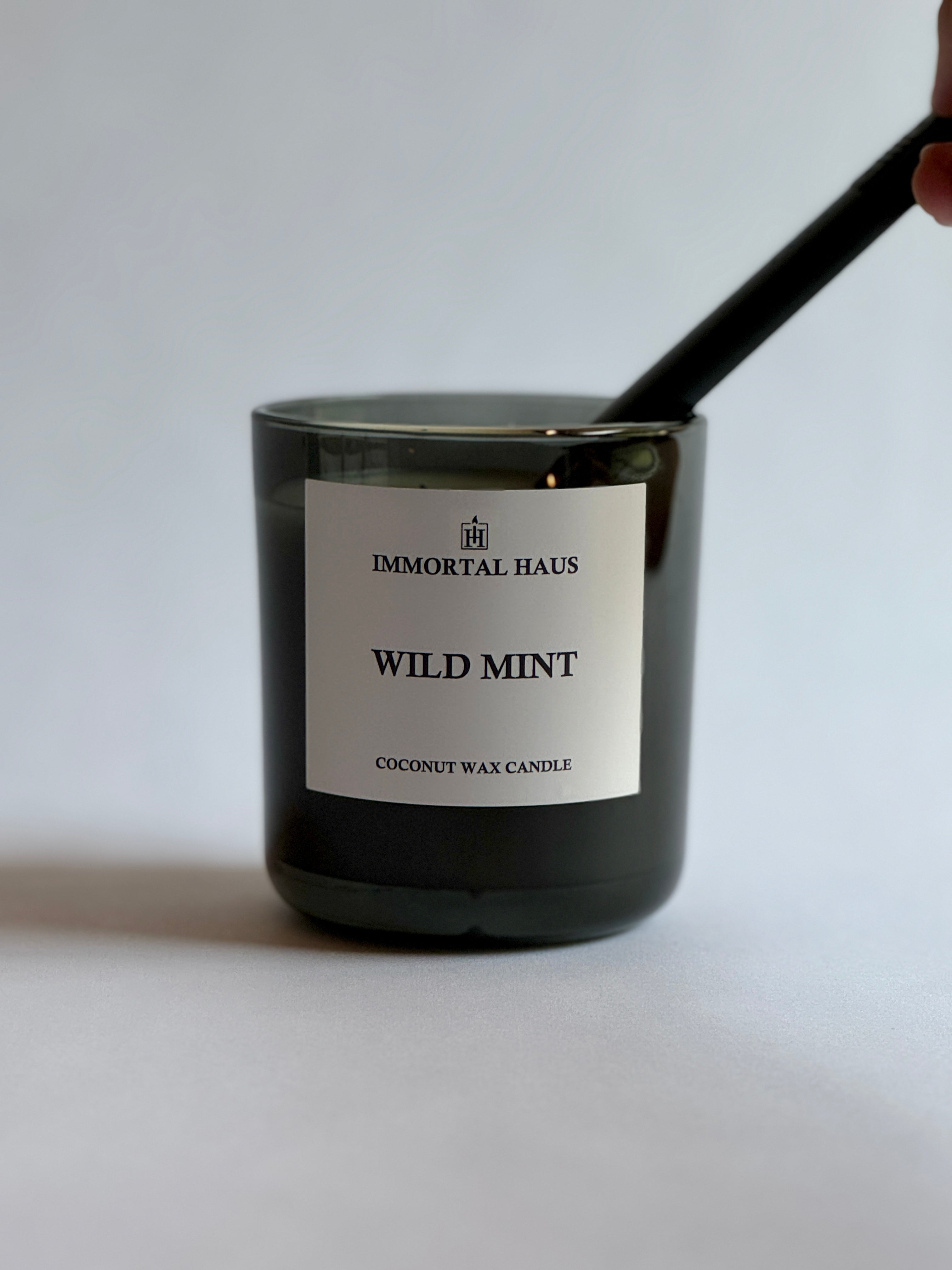Wild Mint candle styled in a room, eucalyptus and spearmint home fragrance.