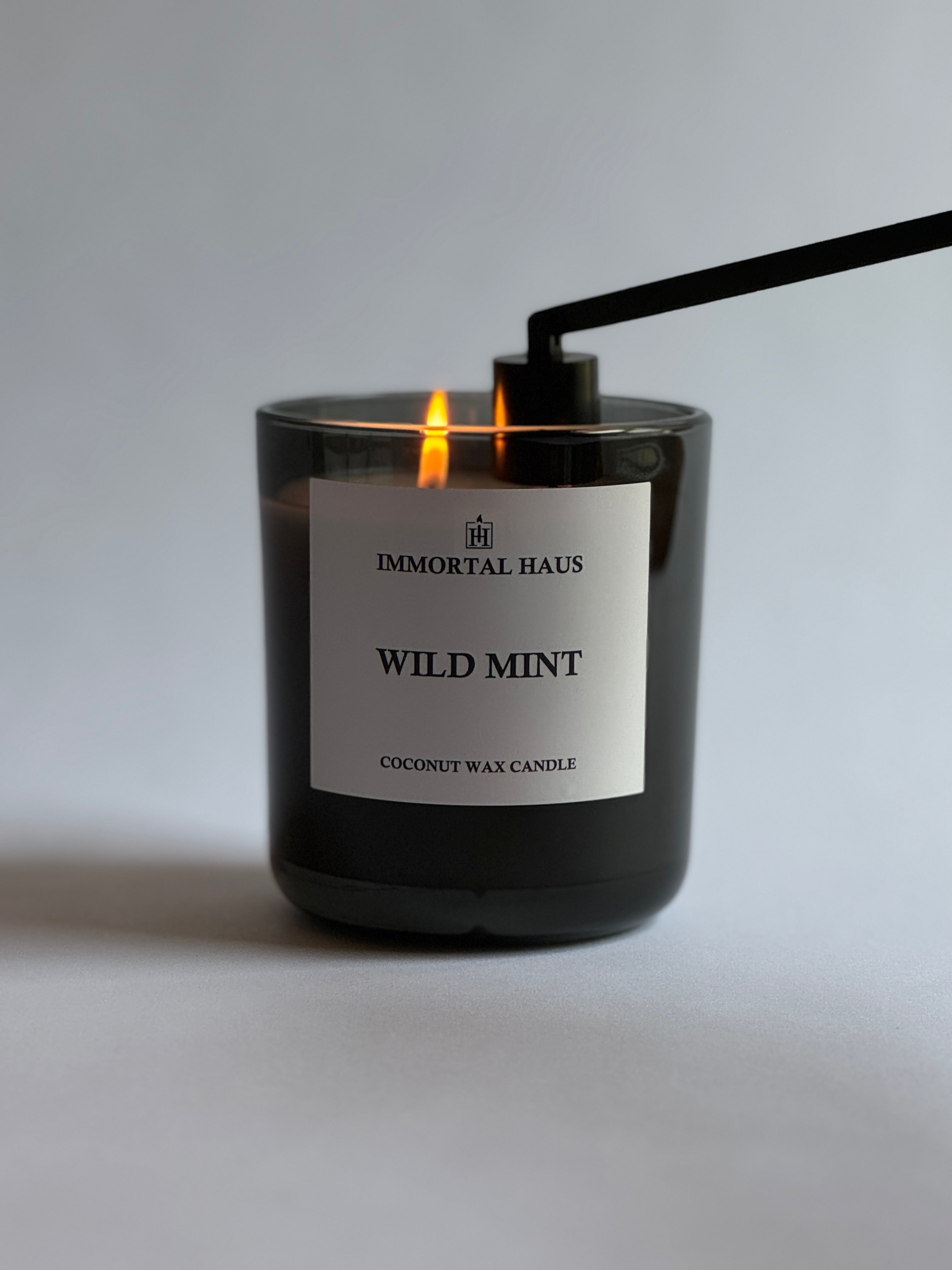 Wild Mint candle styled in a room, eucalyptus and spearmint home fragrance.